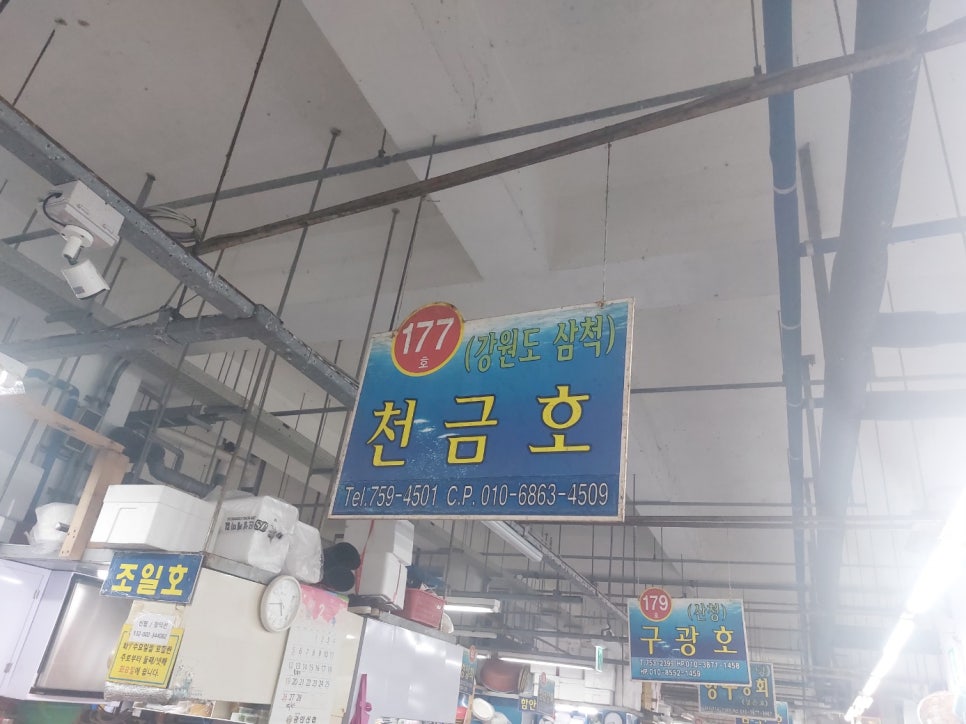천금호 이미지
