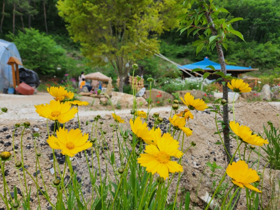 산촌펜션 이미지