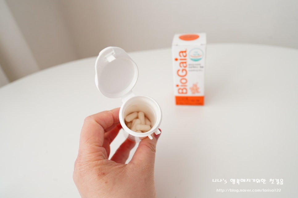 가이아인터내셔널 이미지