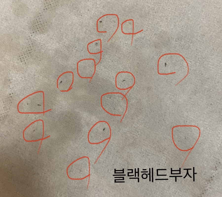 에프지씨 이미지