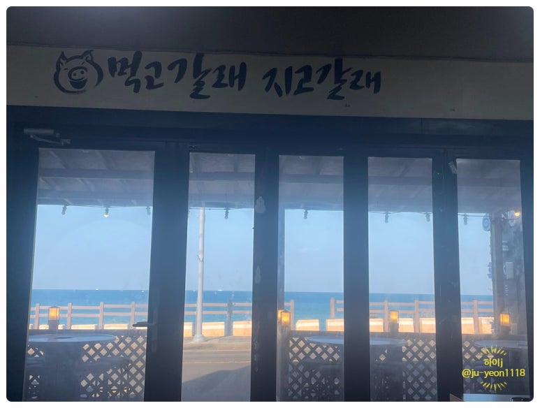 바다를품은돼지 이미지