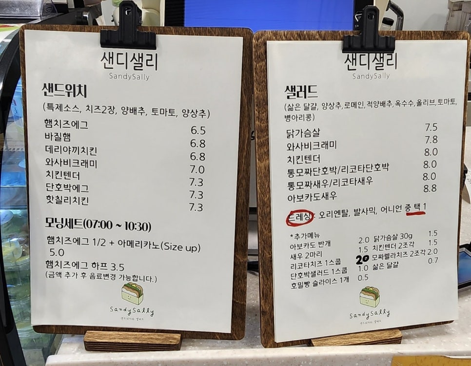 샌디샐리 이미지