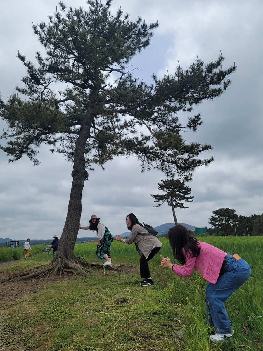 메밀꽃카페 이미지