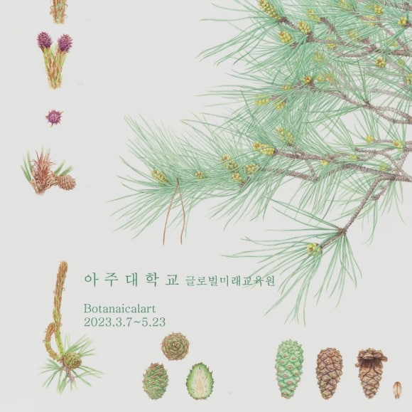 용인글로벌평생교육원 이미지