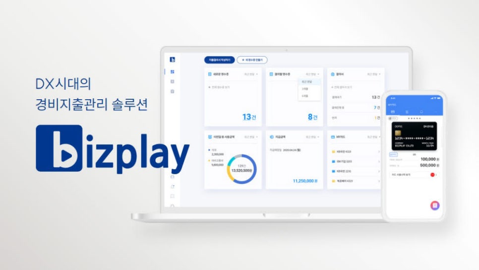 나라비즈솔루션 이미지