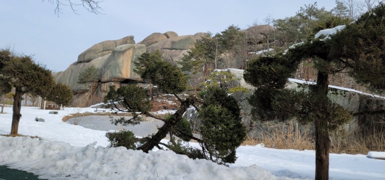산더미회무침 이미지