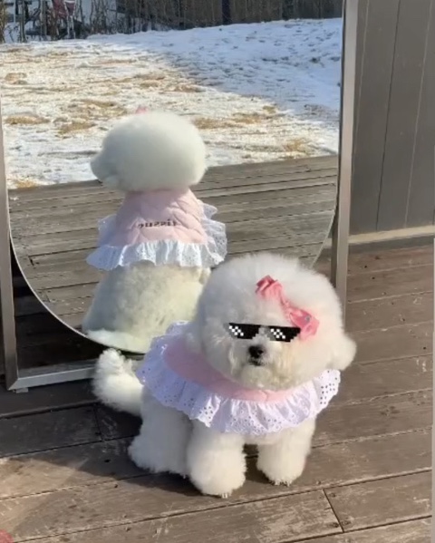 쿠름 이미지
