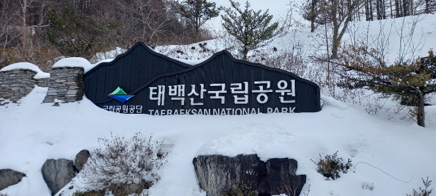 태백산식당·튀김 이미지