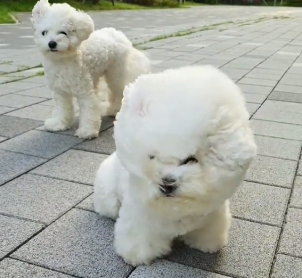 럭키스카이 이미지