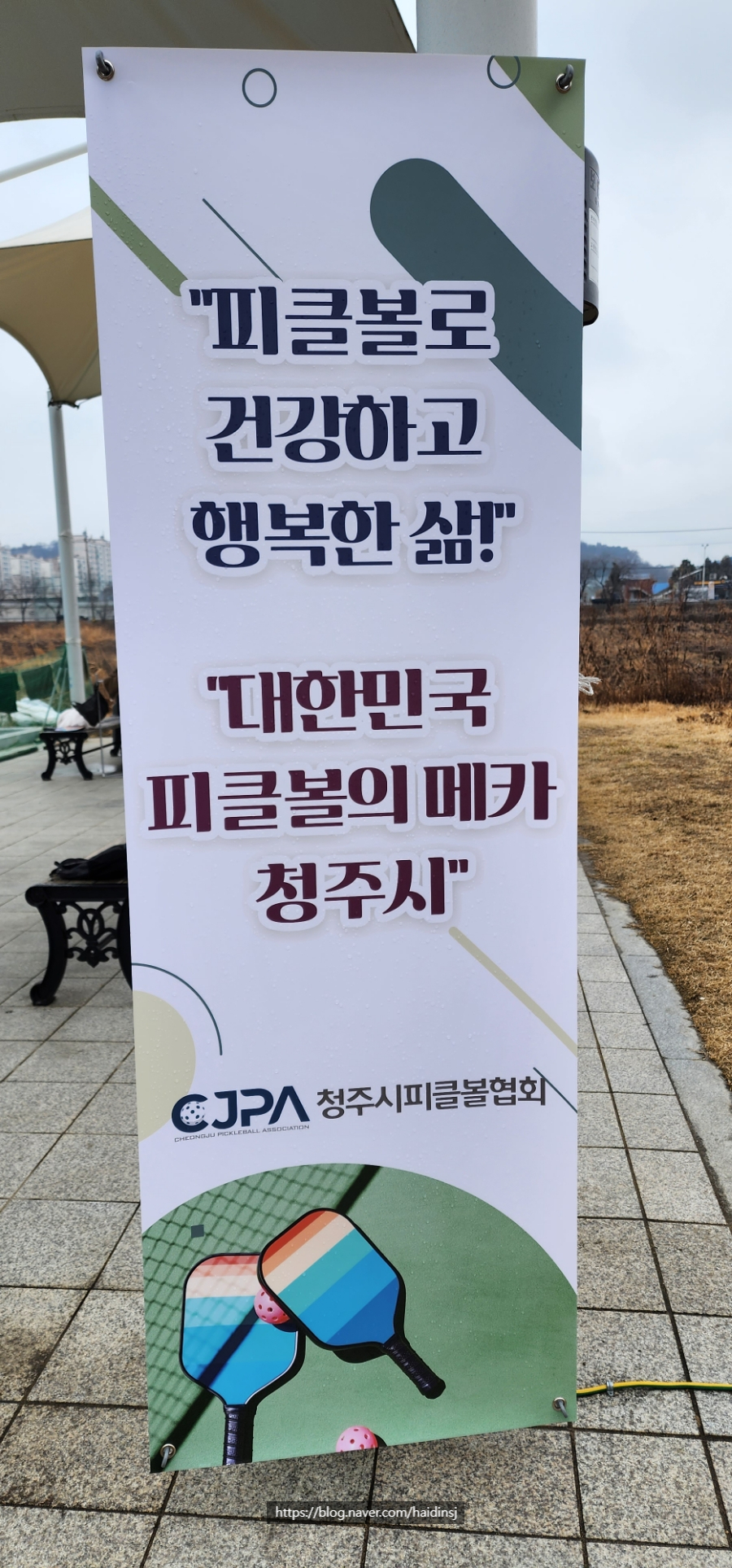 피클볼피플 이미지