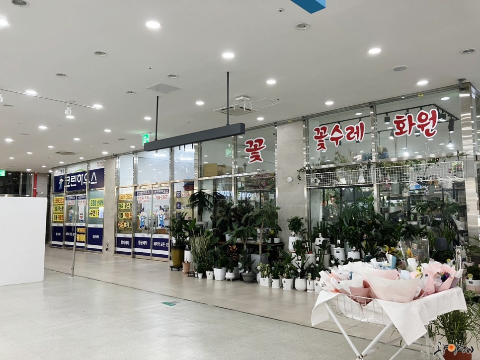 꽃수레화원 이미지