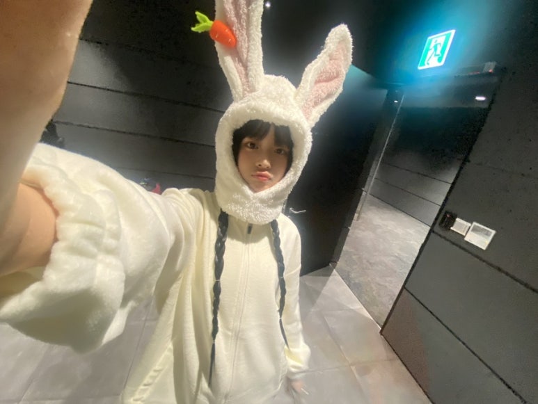 하리코 이미지