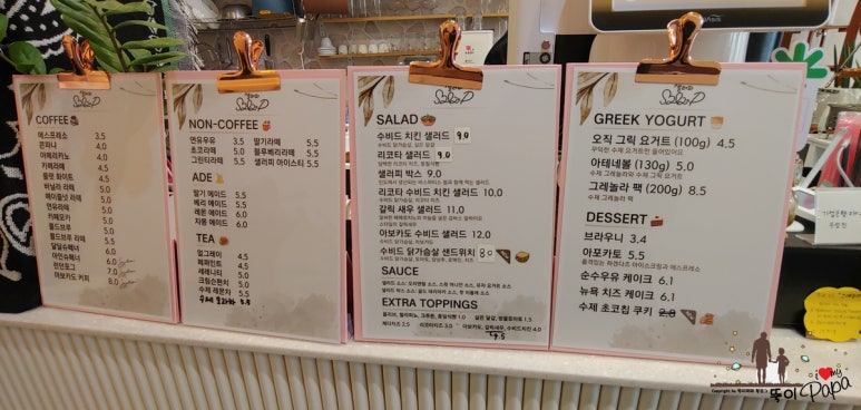 샐러피 이미지