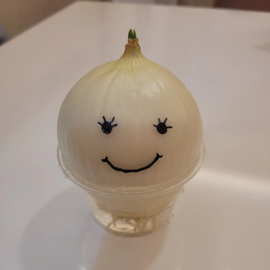 남부커피호프 이미지