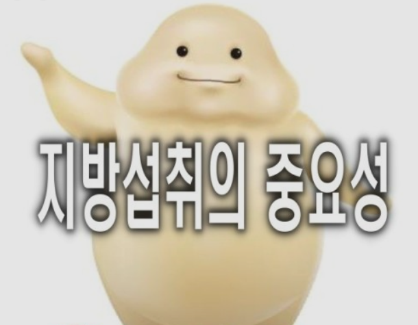 워너짐 이미지