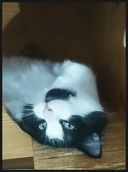 라미카페 이미지