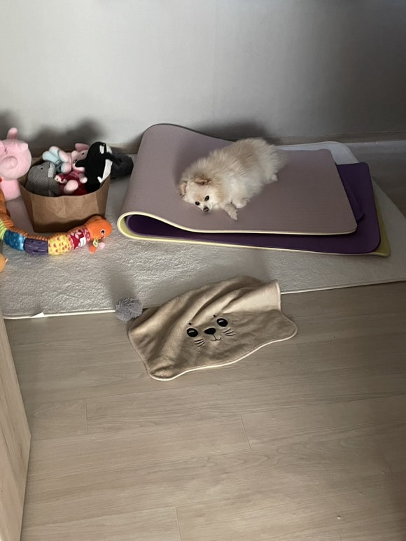 시온정육점 이미지
