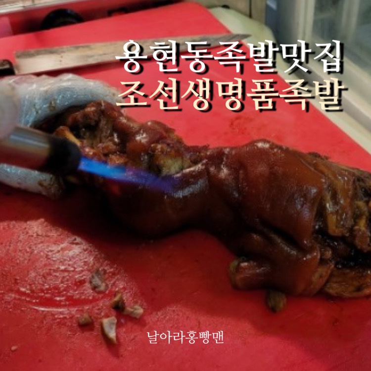 조선생명품족발 이미지