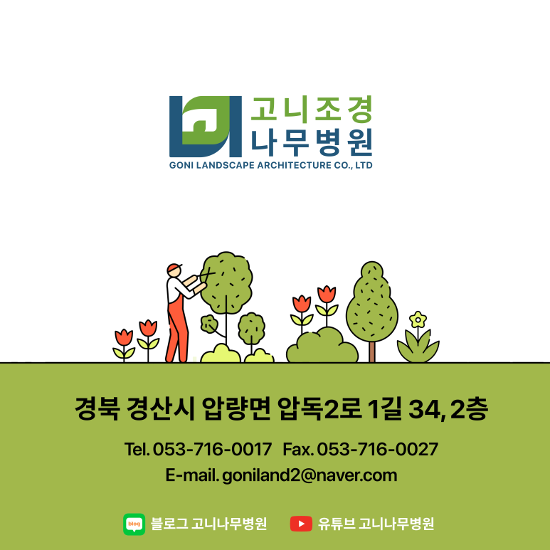 거북조경 이미지
