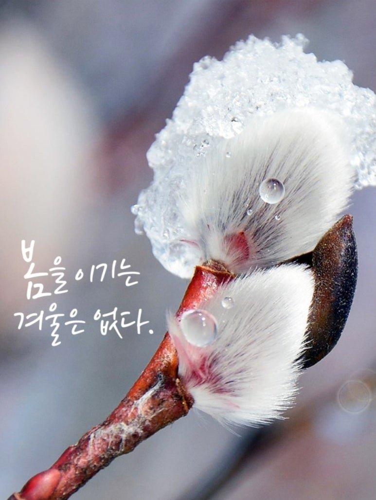 젠모터스 이미지