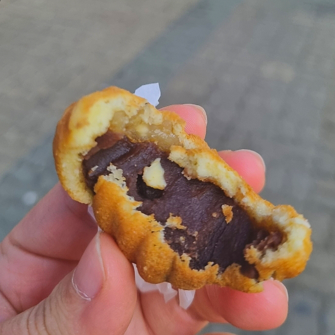 꿈꾸는호두 이미지