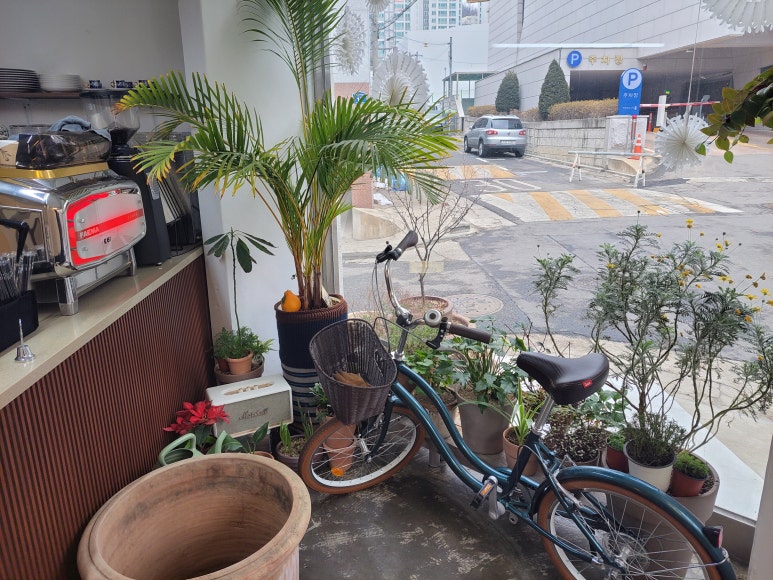 카페피고지고 이미지