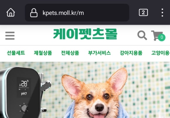 종합카 이미지