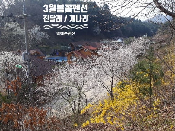 진달래펜션 이미지