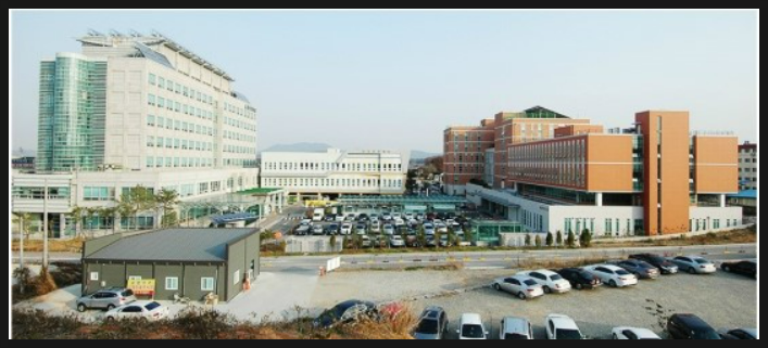 내포산부인과 이미지