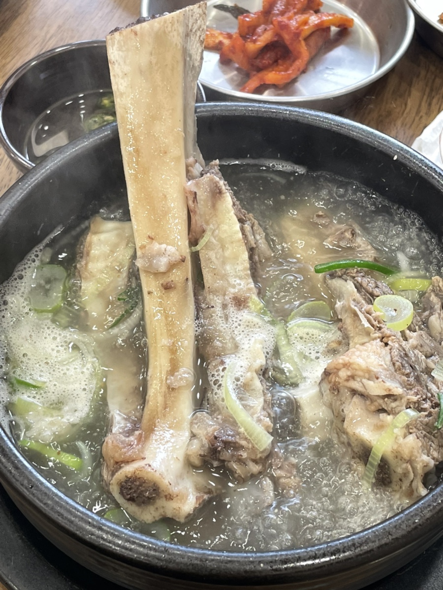 속초맛자랑 이미지