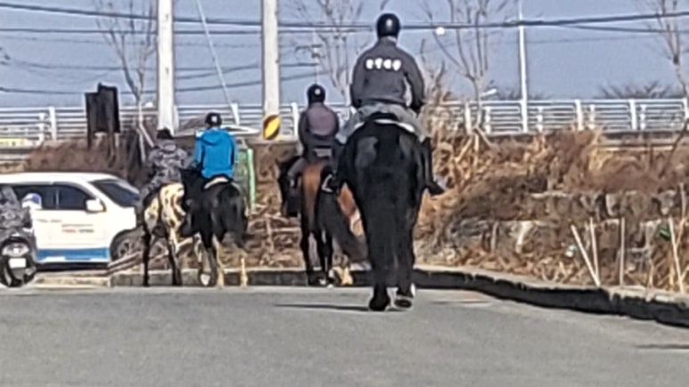 한필마장 이미지