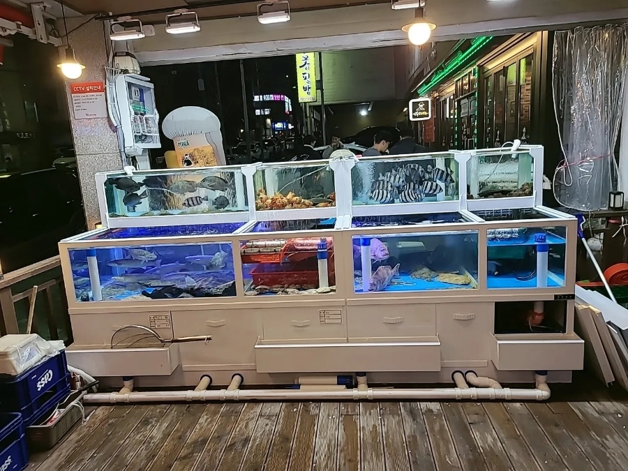 바다이야기일번가 이미지