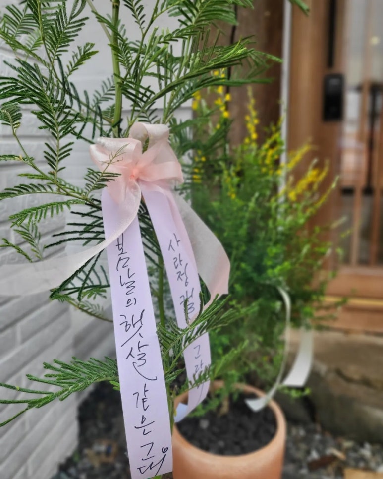 백운다실 이미지