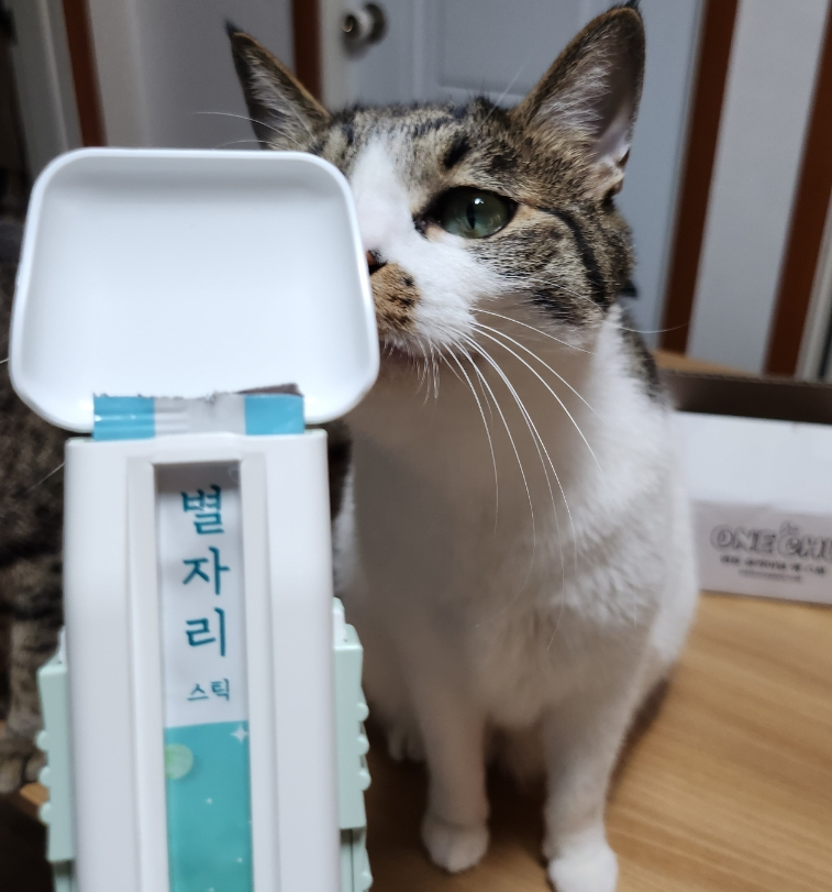 페르메스 이미지