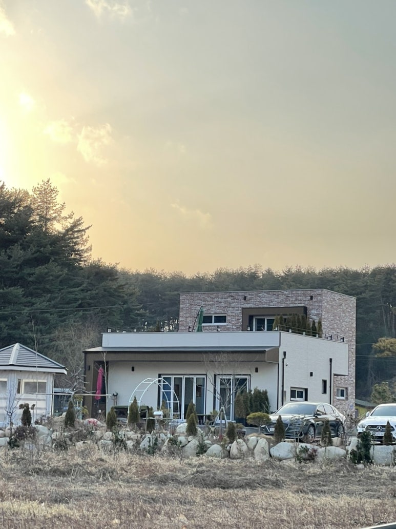 경포물회 이미지