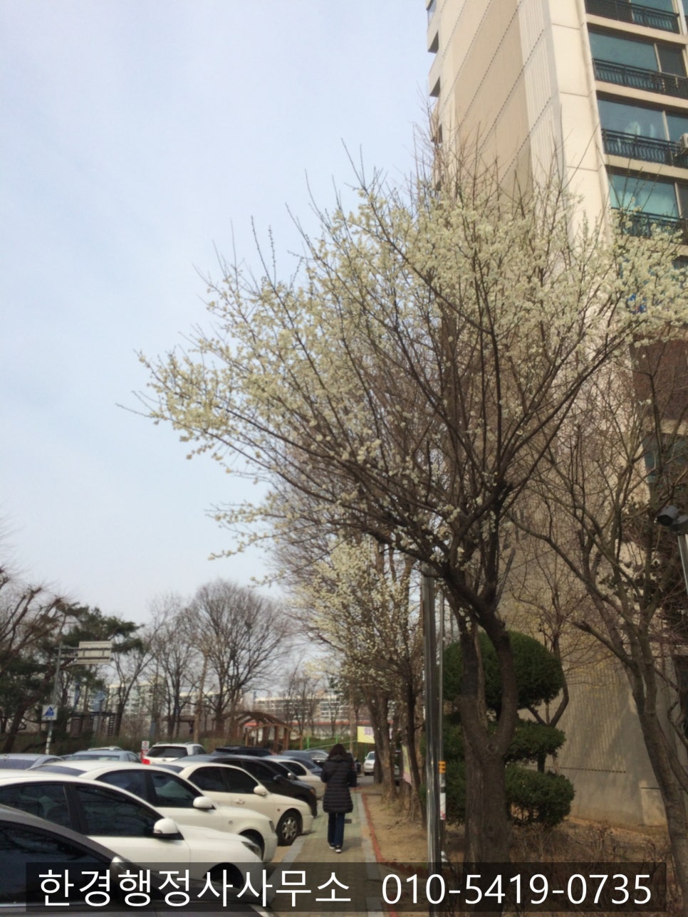 도드림푸드 이미지