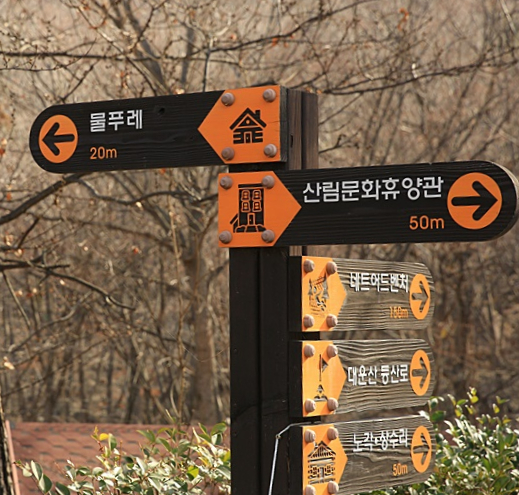대운산 유아숲체험원 이미지