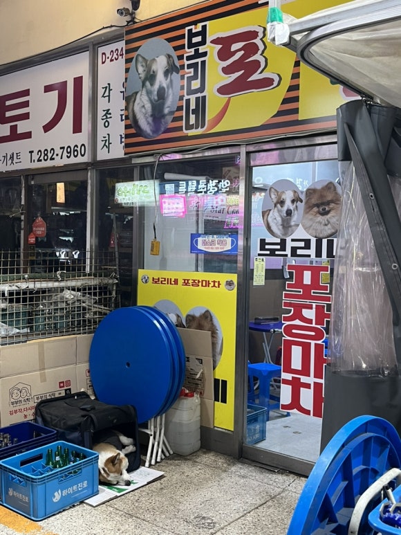 보리네포장마차 이미지