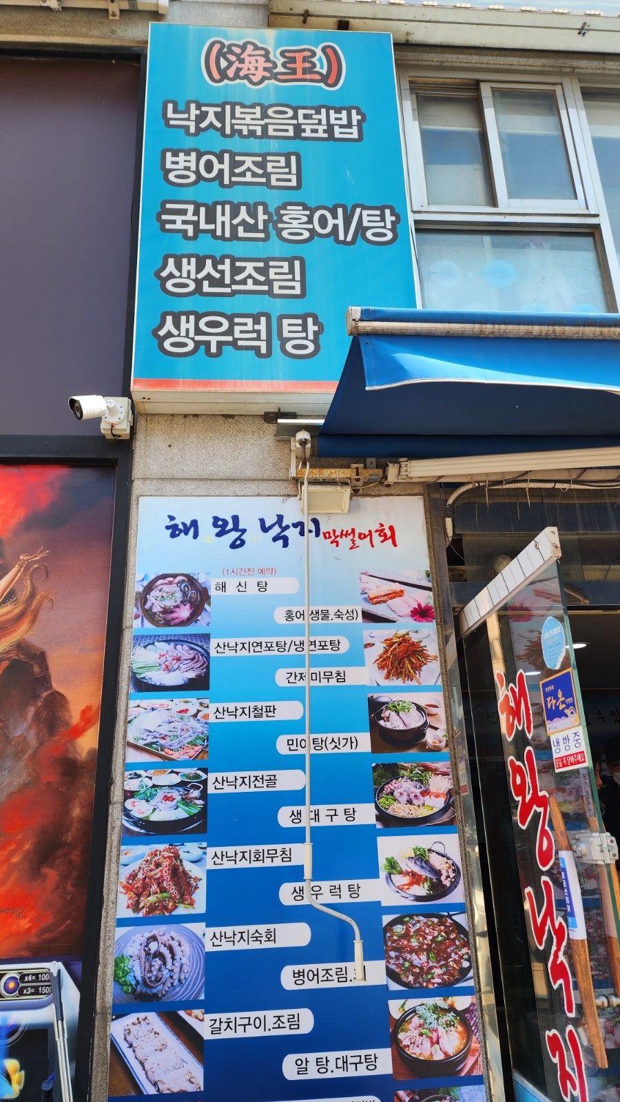해왕낙지 이미지