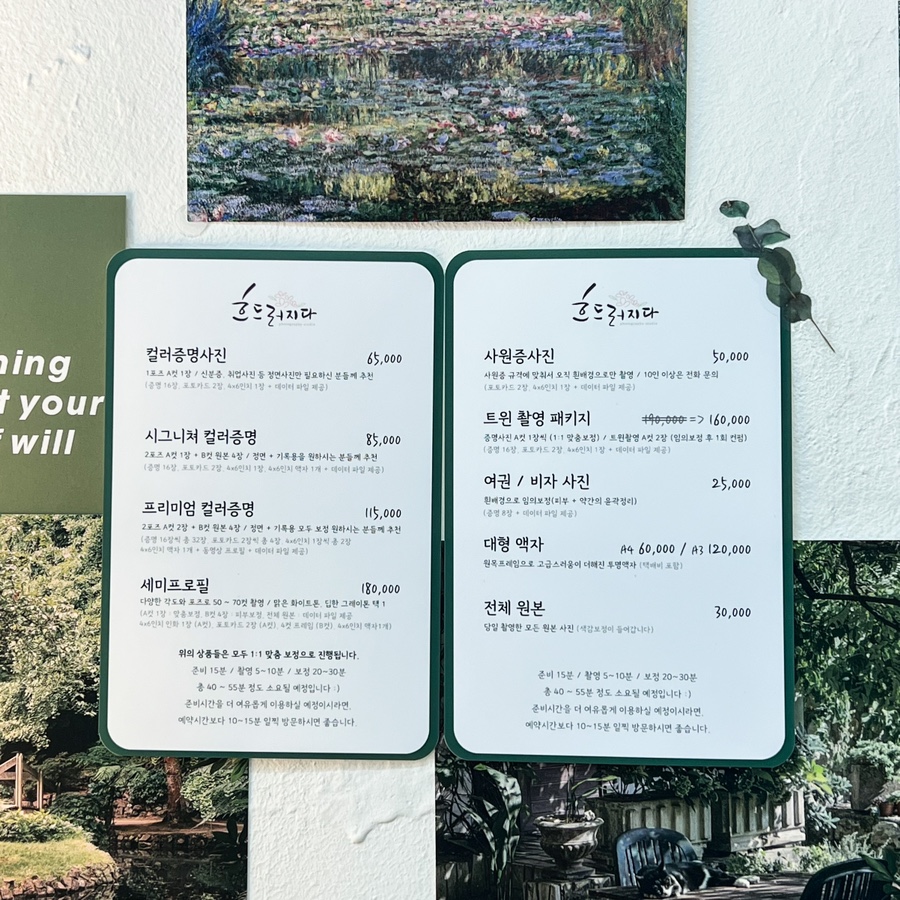 흐드러지다스튜디오 이미지