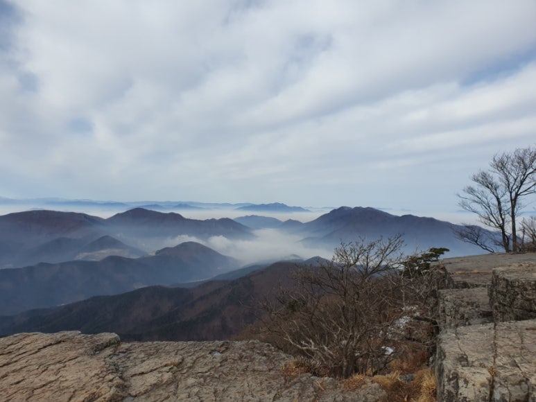 (언제나)봄 베이커리 이미지