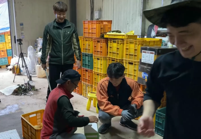 장터농장 이미지