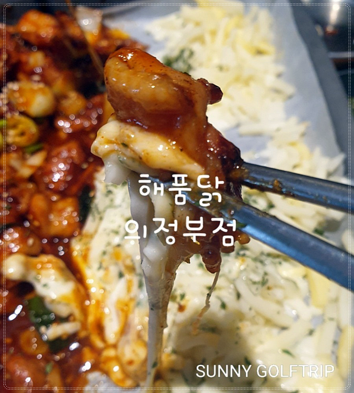 해품닭 이미지