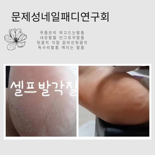 노마드메디컬 이미지