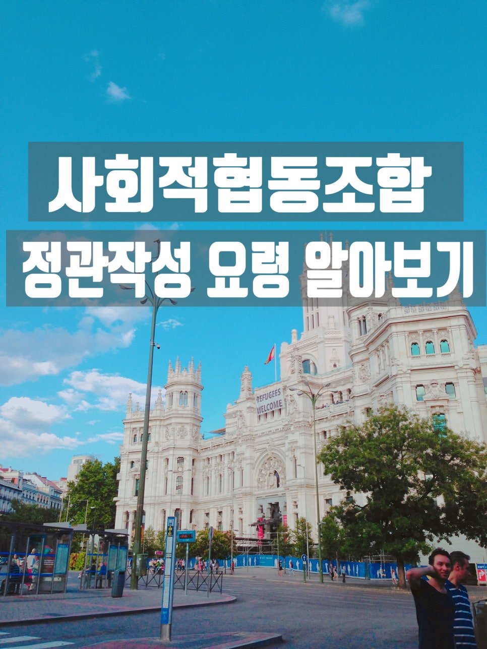 세움행정사사무소 이미지