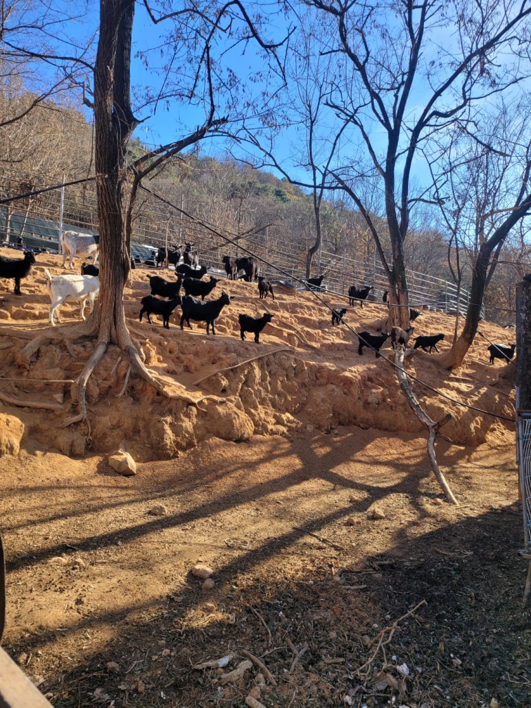 무럭무럭농장 이미지