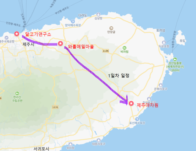 제주 야자원 이미지