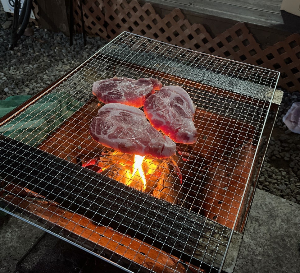 리즈밸리 이미지