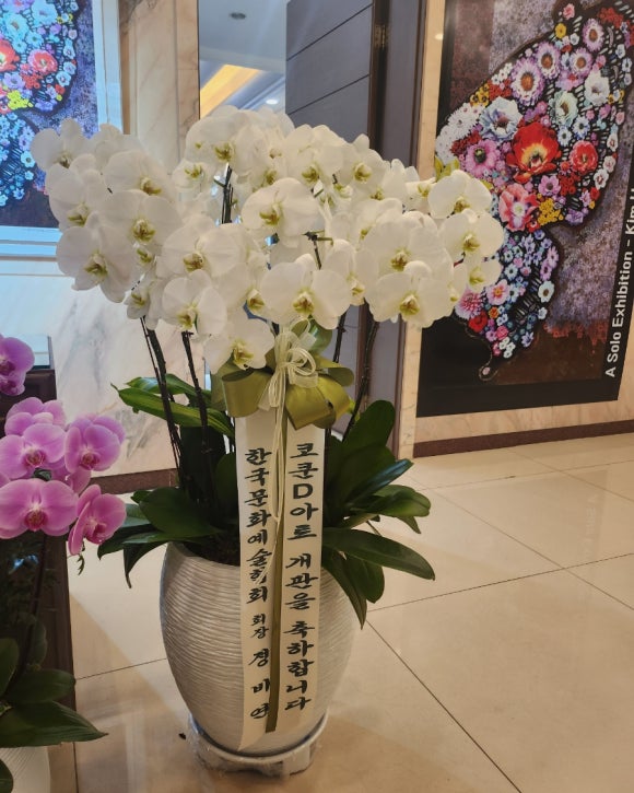갤러리코쿤 이미지