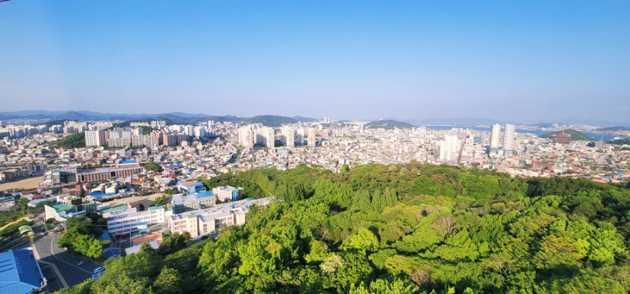 신안군관광협의회안좌퍼플교지점 이미지